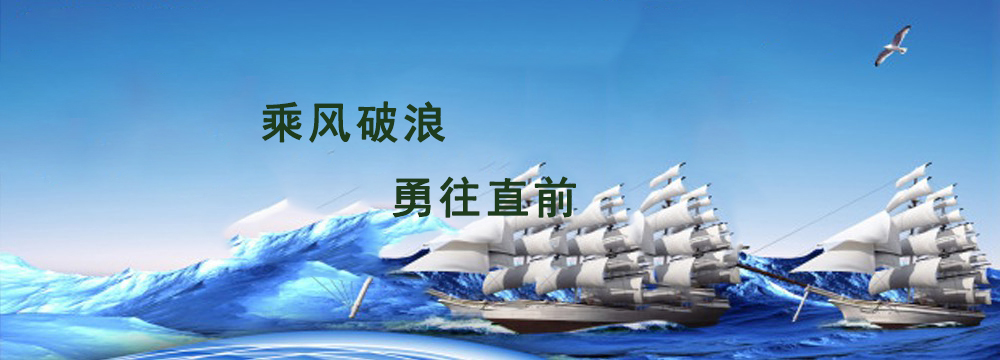 濟(jì)寧勝威新能源科技有限公司